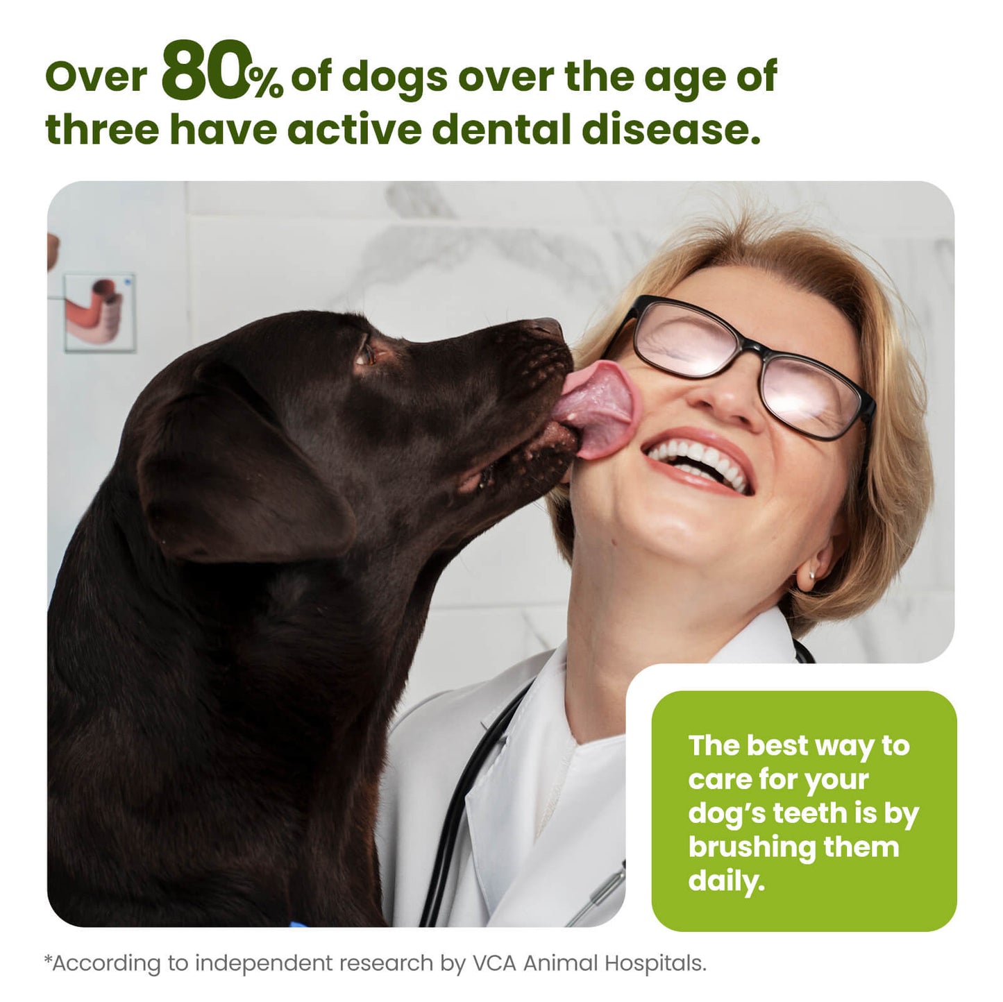 PawSono PET DENTAL FINGER WIPES