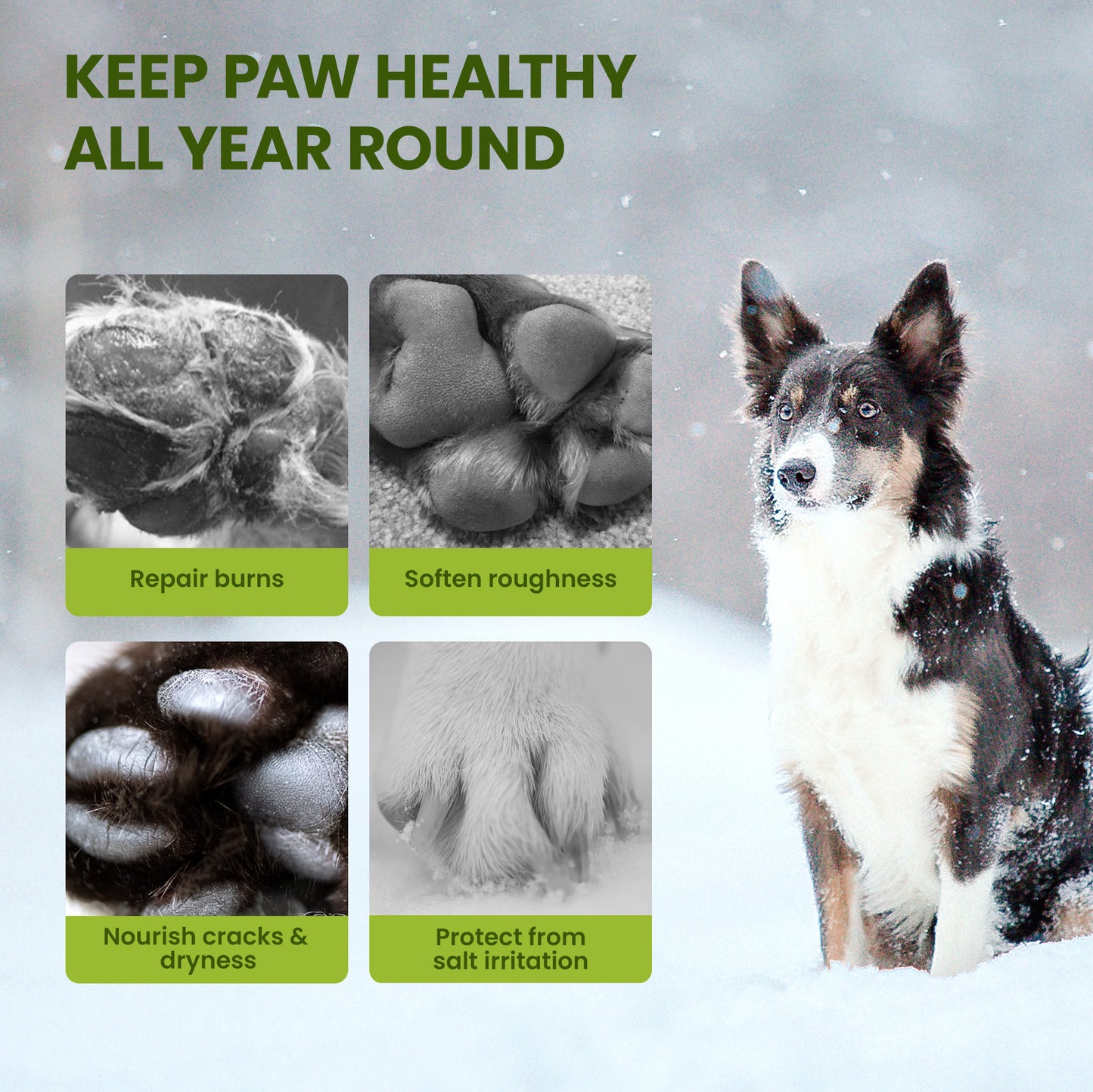 PawSono PET PAW BALM