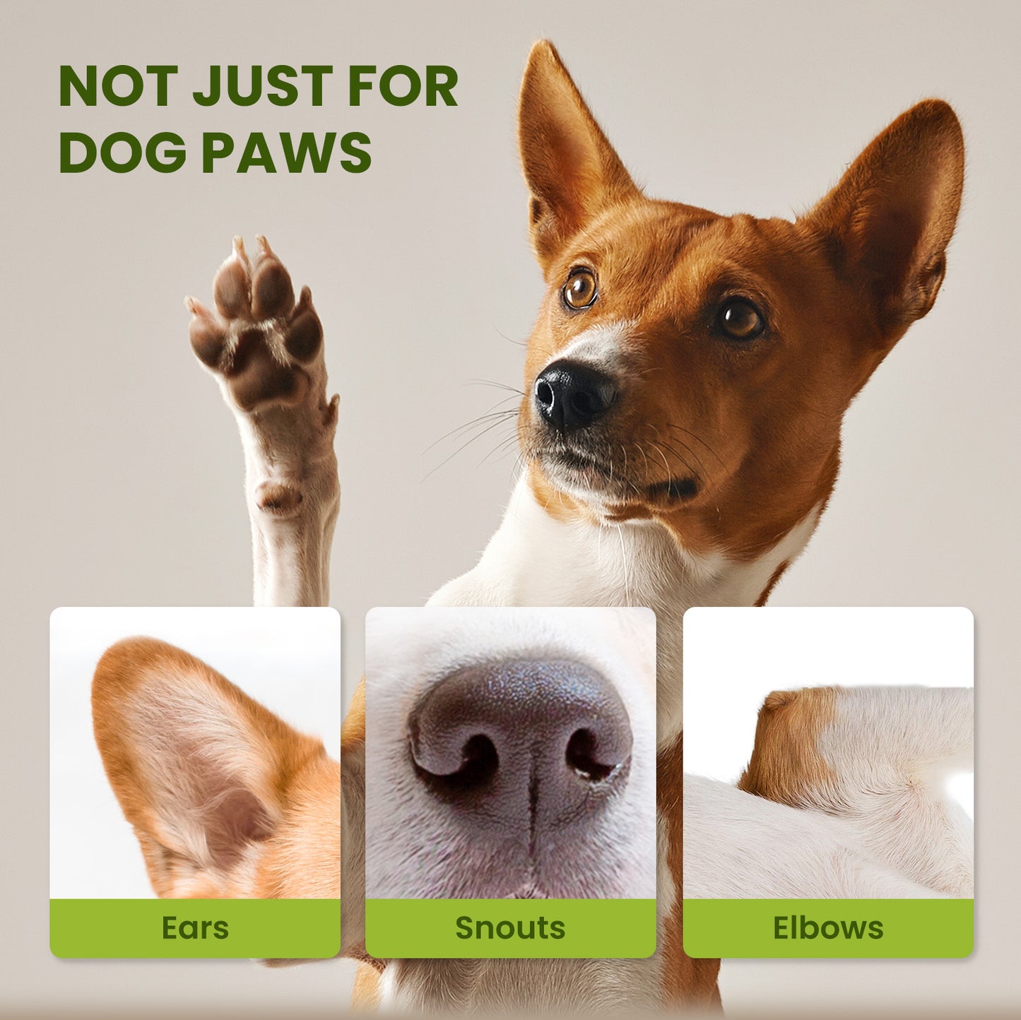 PawSono PET PAW BALM