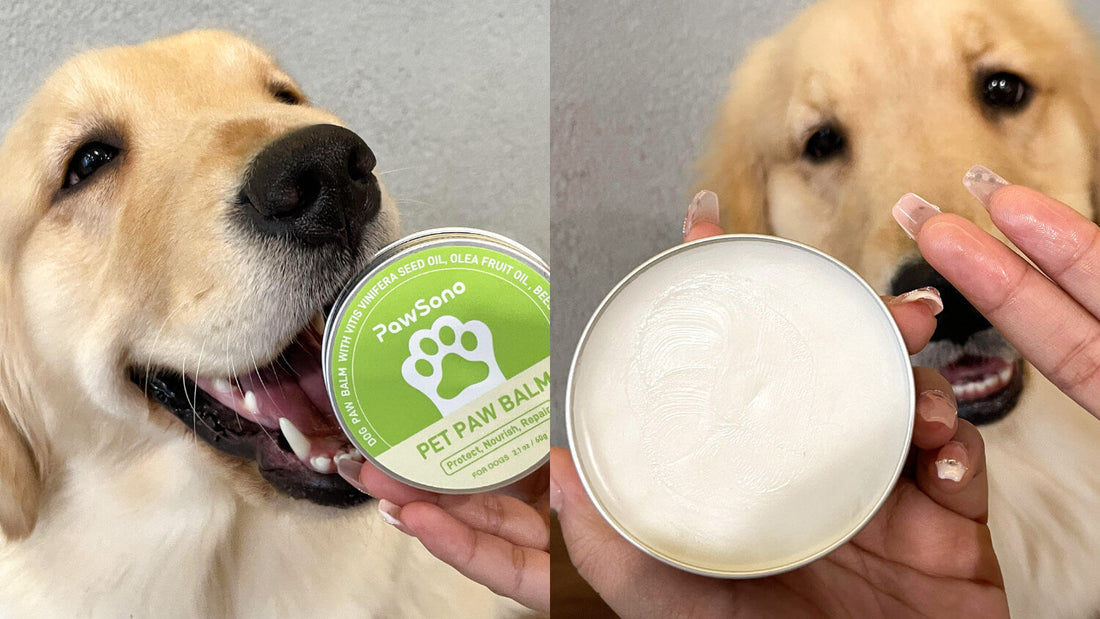 Is Paw Balm Safe if My Dog Licks It? What Pet Parents Need to Know