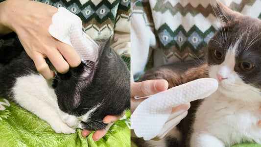 Finger Sleeves vs. Liquid Ear Drops: Which Is Better for Stress-Free Ear Cleaning?