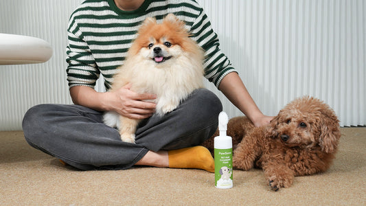 The best way to clean dog's paws in a car or camper.