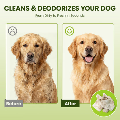 PawSono Hypoallergenic Pet Wipes for Dogs & Cats, Coconut Scented, 100 Count